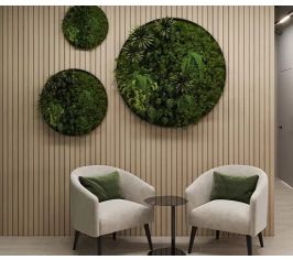 КС024 Деревянные обои