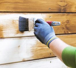 Краски, лазурь, грунт, морилки